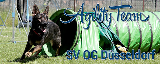 news duesseldorf2016